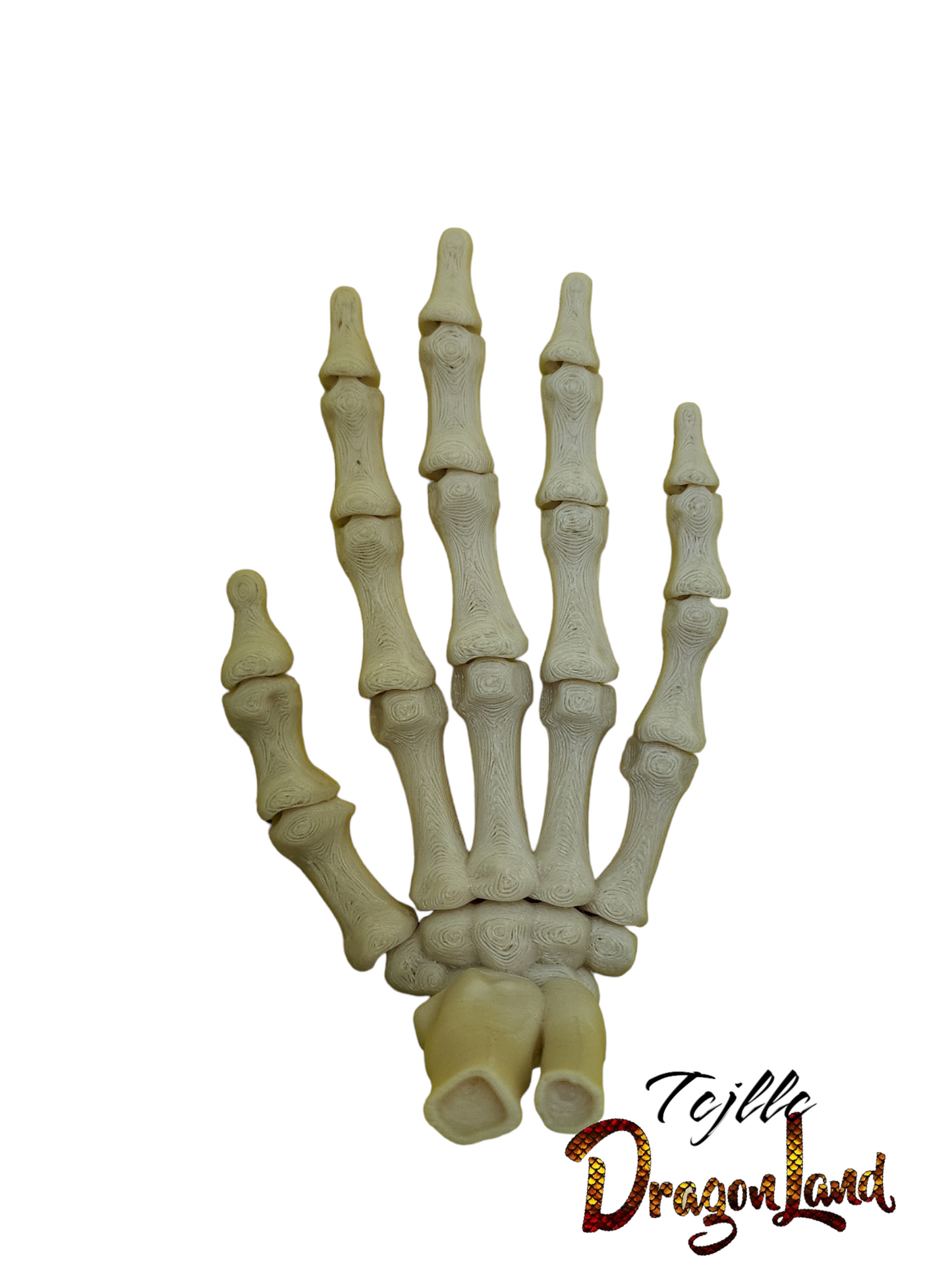 Skeleton Hand Wrist Small