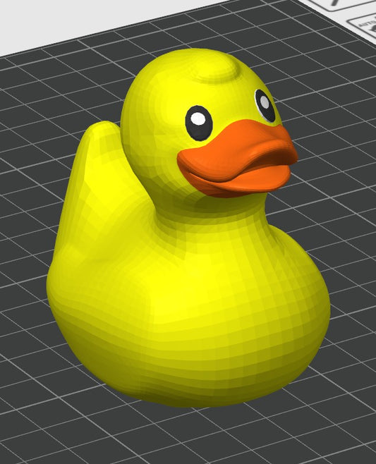 Classic Duck Painted