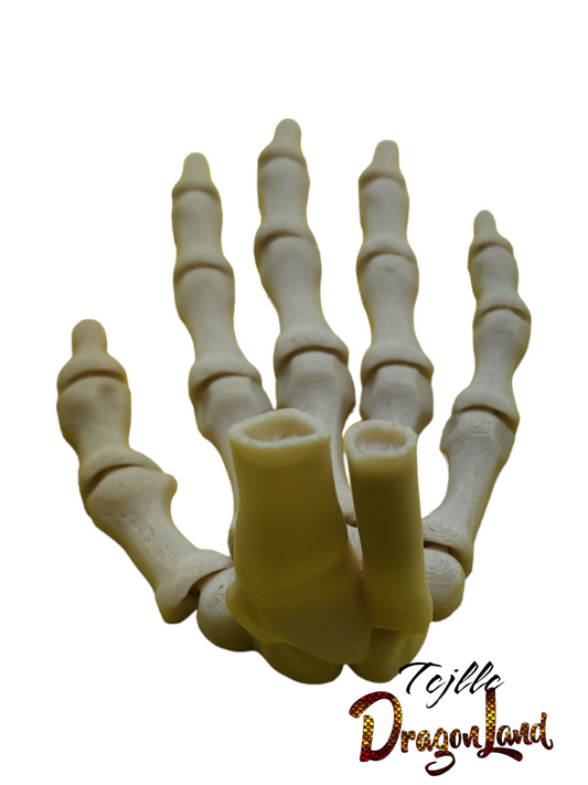 Skeleton Hand Wrist Small
