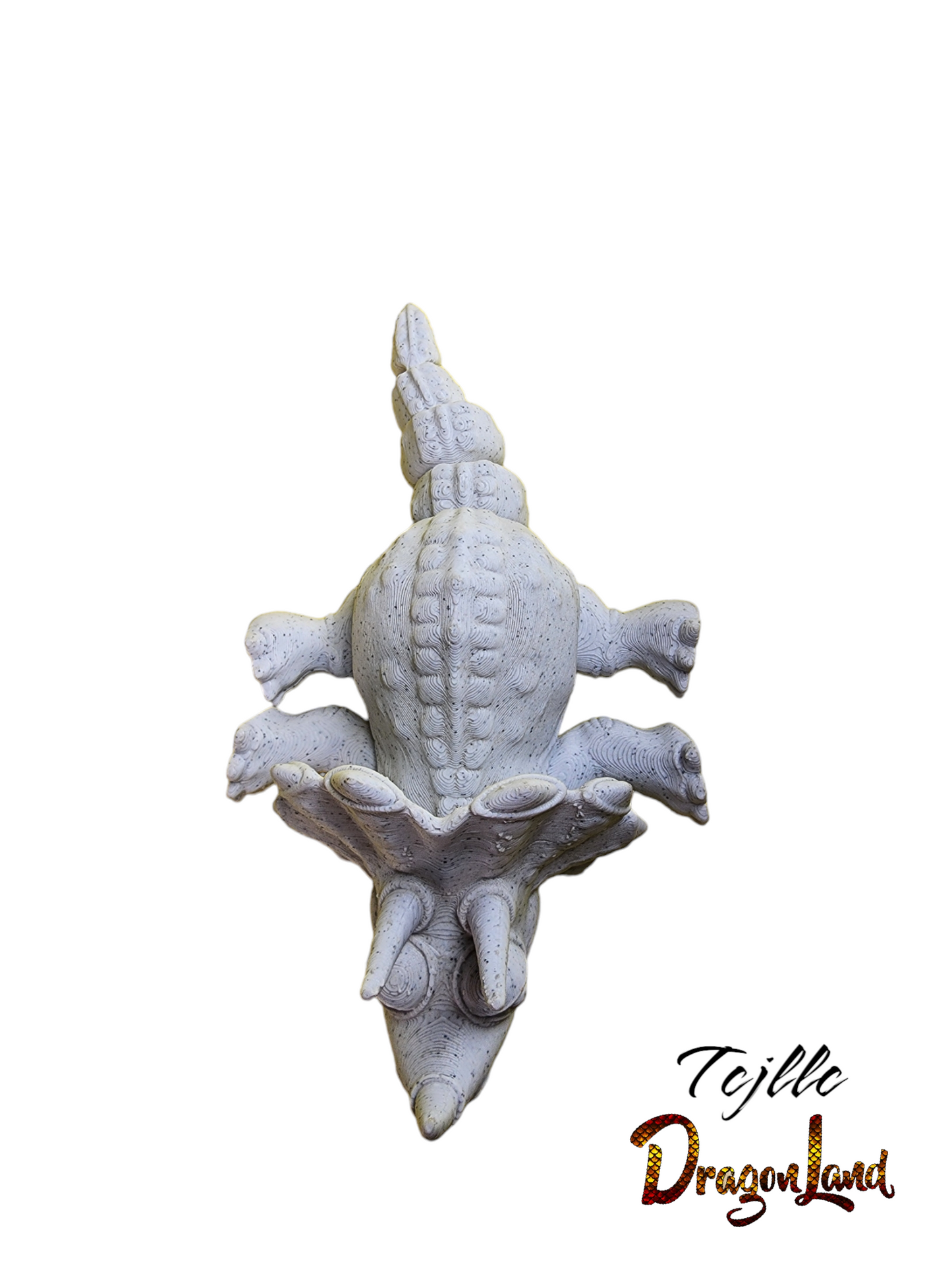 Triceratops Small