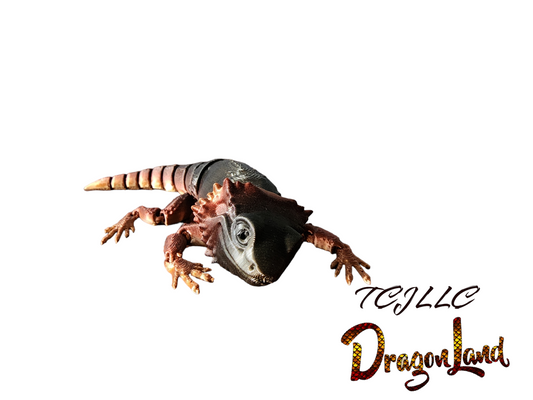 Bearded dragon